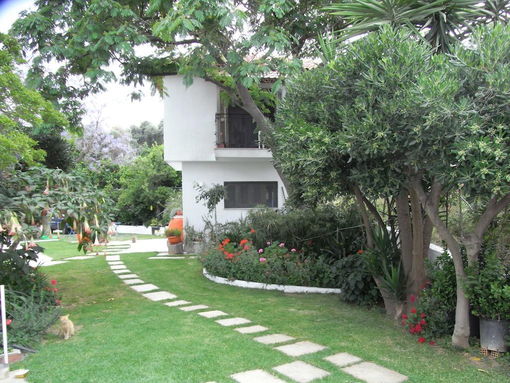מגלי אמוס Villa Yiannis (Adults Only) מראה חיצוני תמונה