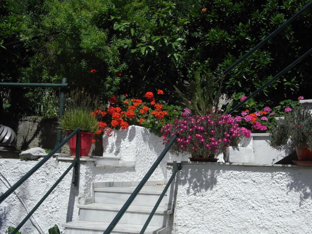 מגלי אמוס Villa Yiannis (Adults Only) מראה חיצוני תמונה