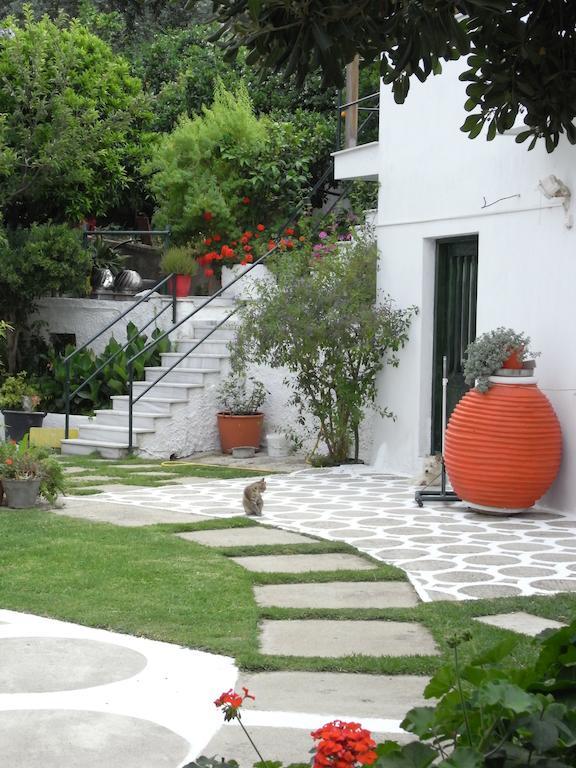 מגלי אמוס Villa Yiannis (Adults Only) מראה חיצוני תמונה