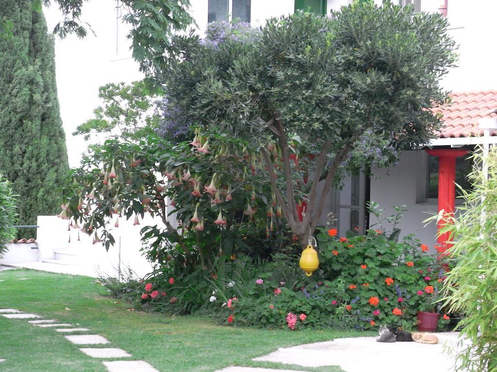 מגלי אמוס Villa Yiannis (Adults Only) מראה חיצוני תמונה