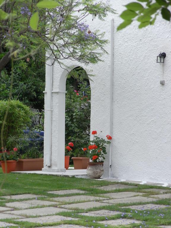 מגלי אמוס Villa Yiannis (Adults Only) מראה חיצוני תמונה