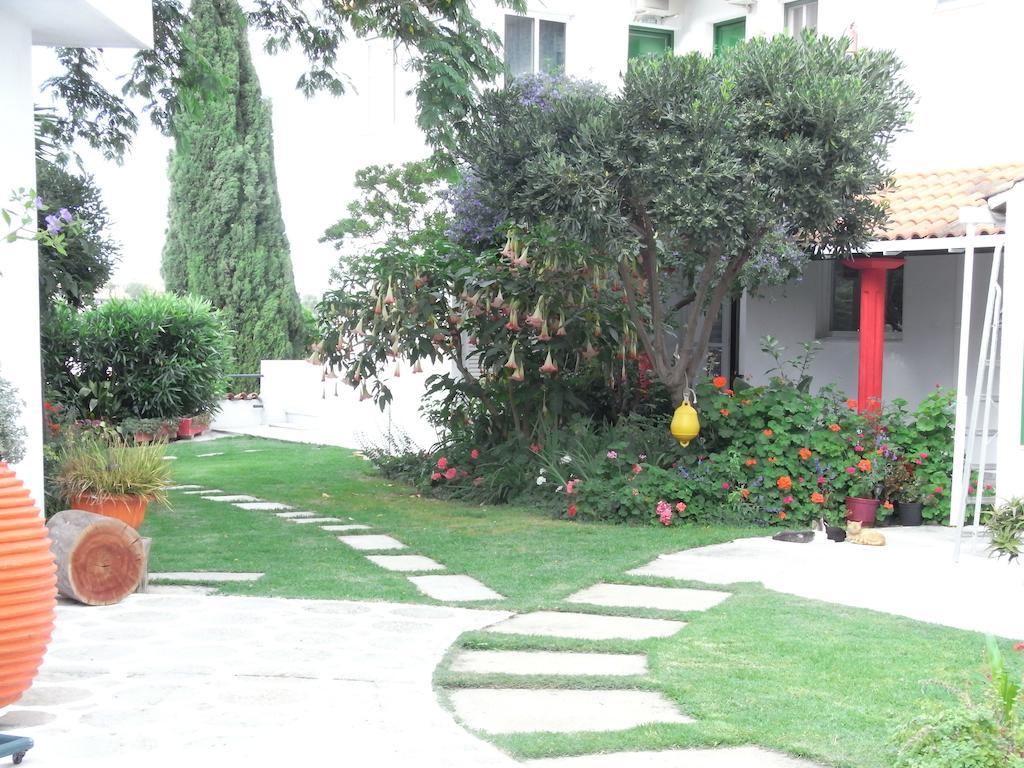 מגלי אמוס Villa Yiannis (Adults Only) מראה חיצוני תמונה