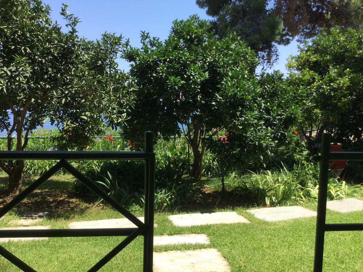 מגלי אמוס Villa Yiannis (Adults Only) מראה חיצוני תמונה