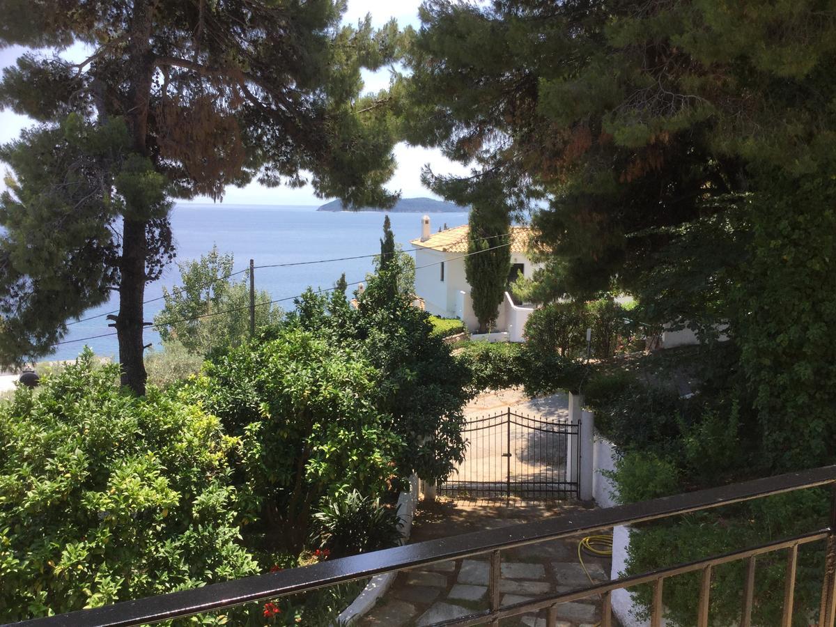 מגלי אמוס Villa Yiannis (Adults Only) מראה חיצוני תמונה