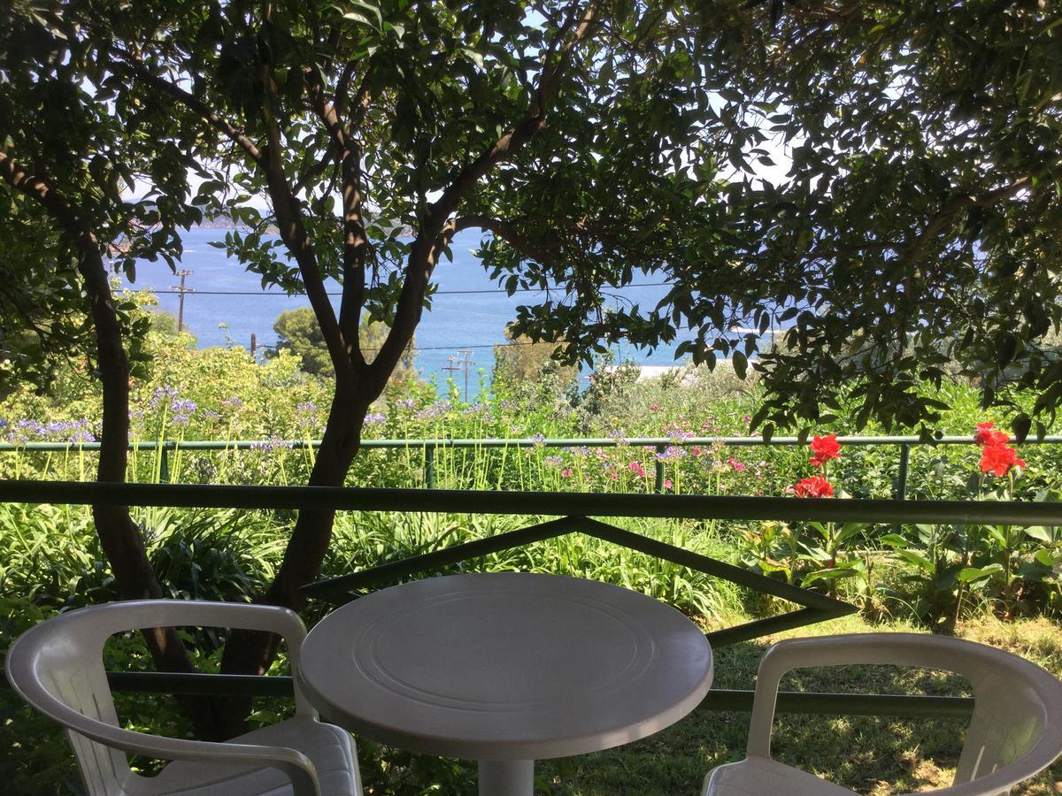 מגלי אמוס Villa Yiannis (Adults Only) מראה חיצוני תמונה