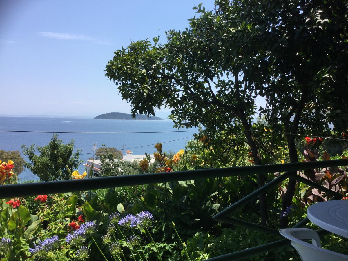 מגלי אמוס Villa Yiannis (Adults Only) מראה חיצוני תמונה