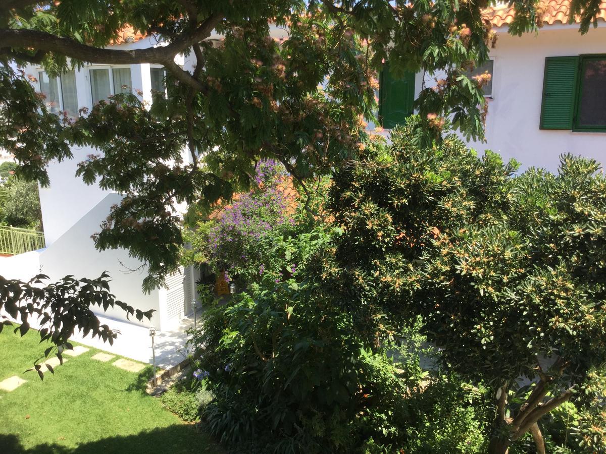 מגלי אמוס Villa Yiannis (Adults Only) מראה חיצוני תמונה